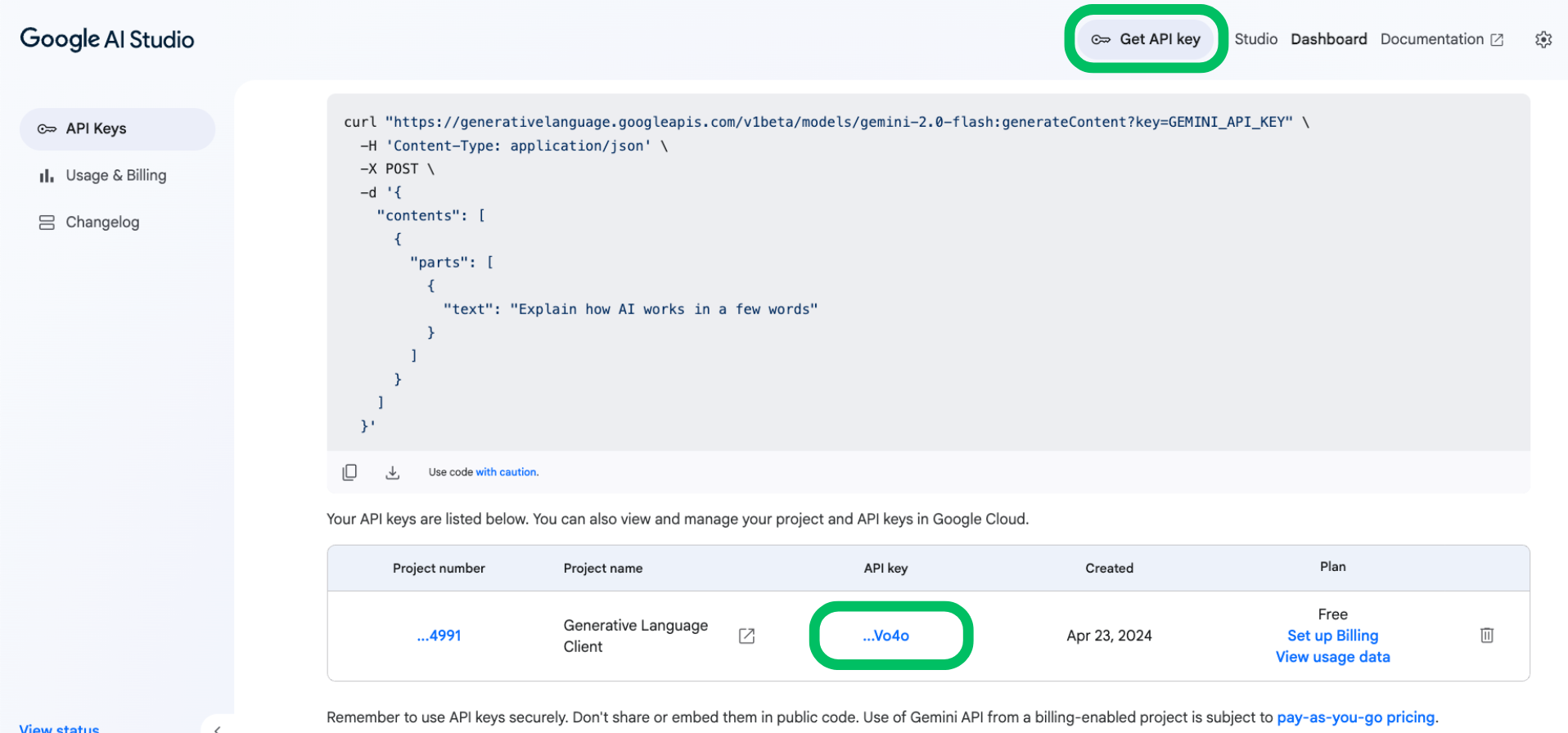 Google Gemini API Key